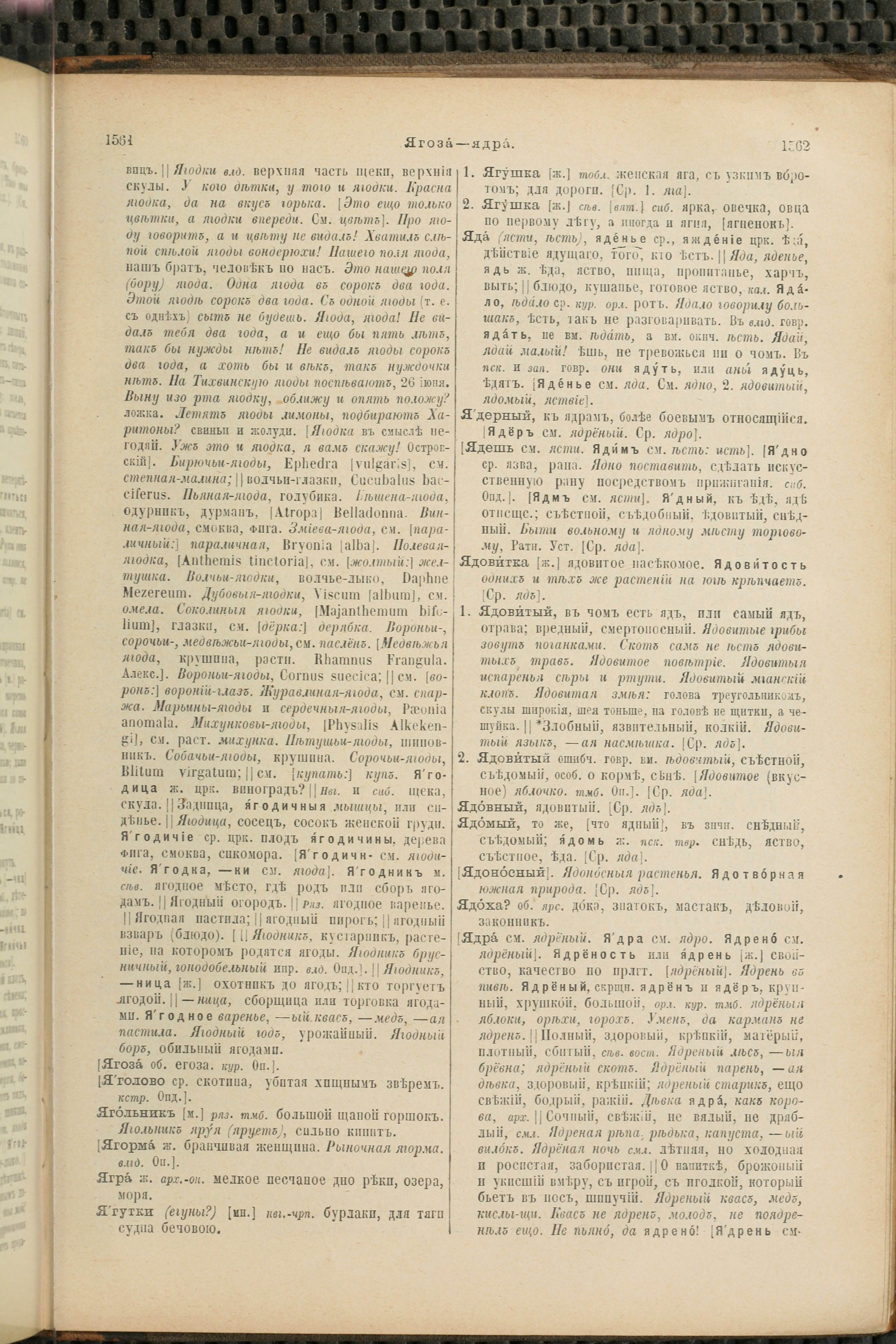 Словарь Даля под редакцией Бодуэна-де-Куртенэ, том 4 pdf скан страницы 791
