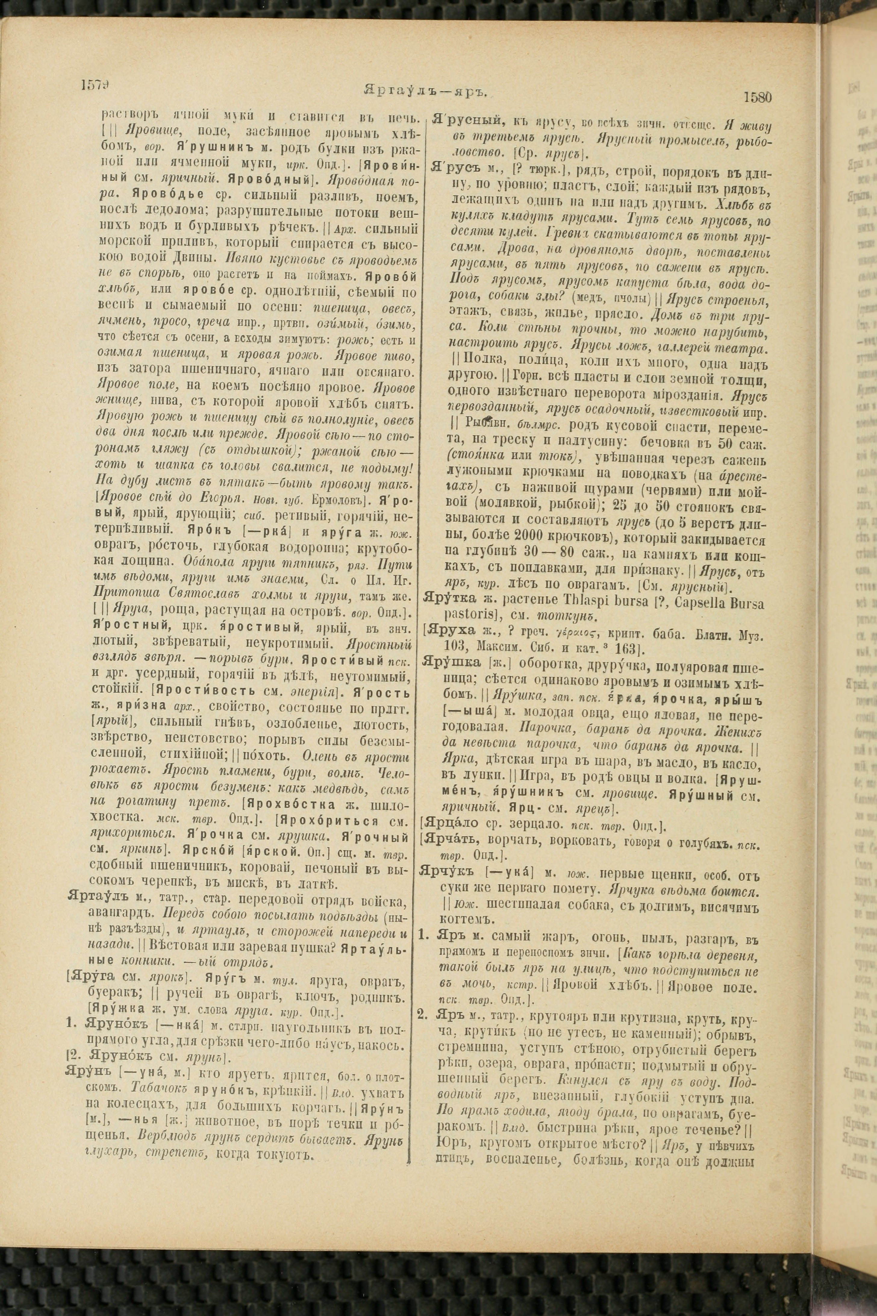 Словарь Даля под редакцией Бодуэна-де-Куртенэ, том 4 pdf скан страницы 802