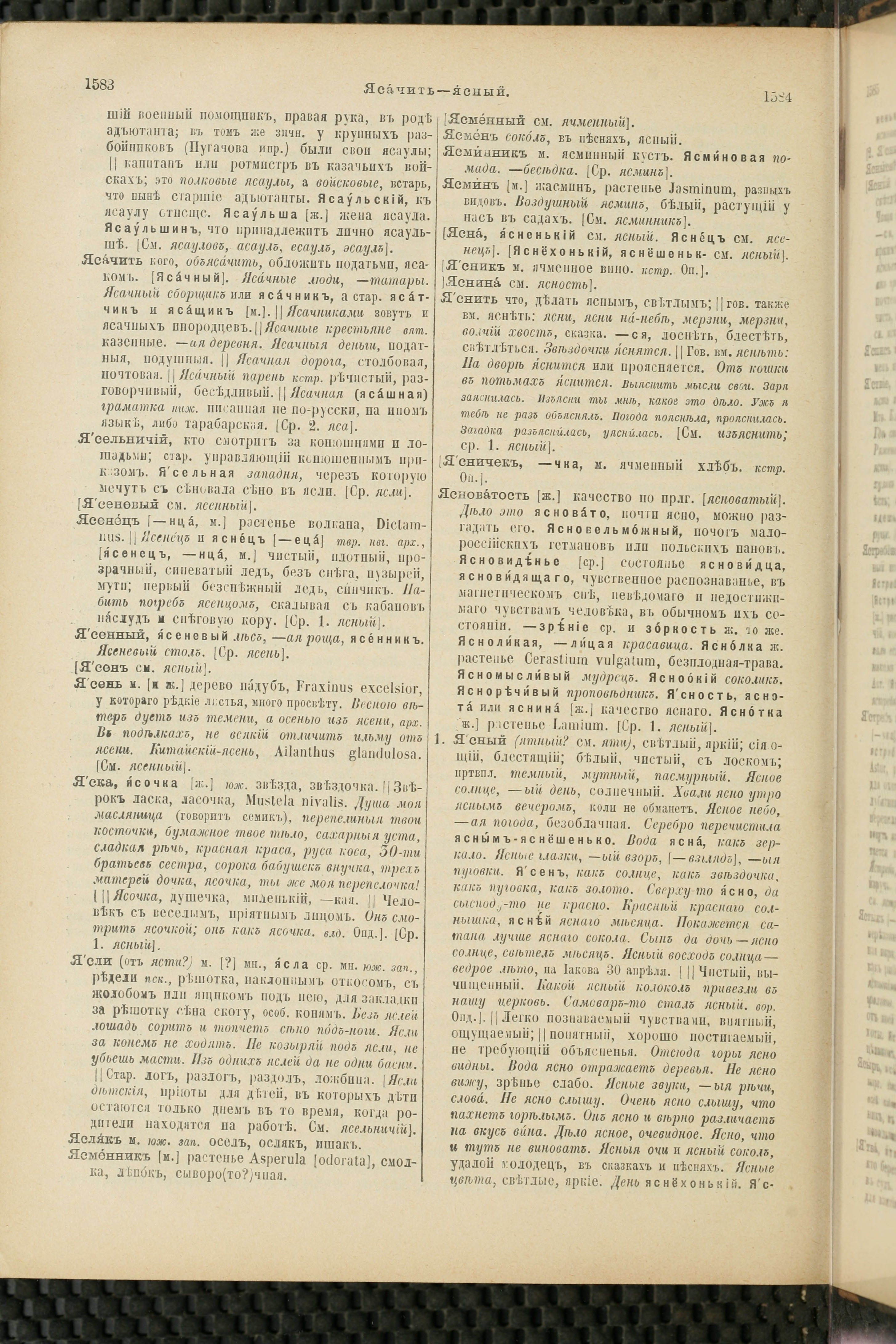 Словарь Даля под редакцией Бодуэна-де-Куртенэ, том 4 pdf скан страницы 804