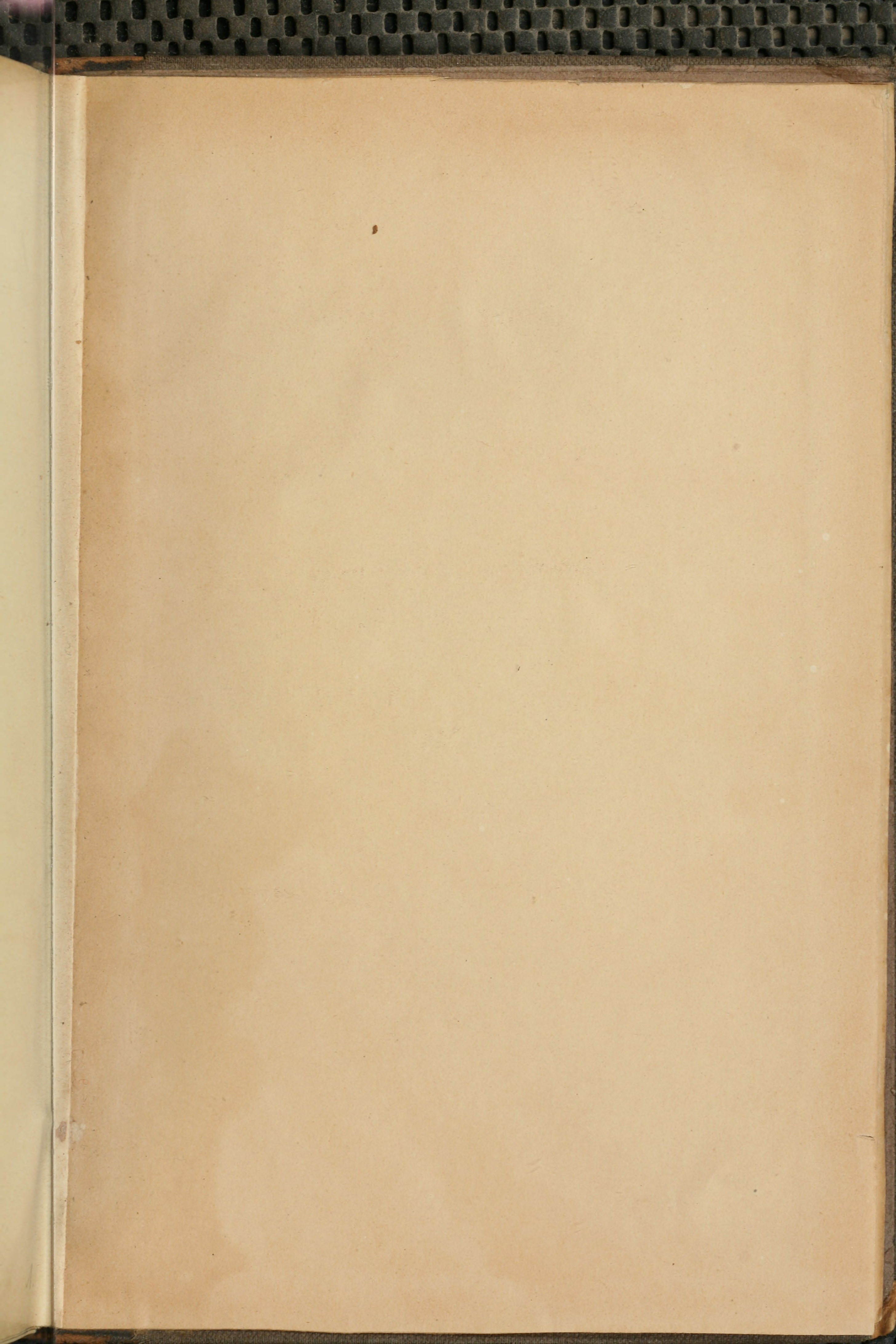 Словарь Даля под редакцией Бодуэна-де-Куртенэ, том 4 pdf скан страницы 837